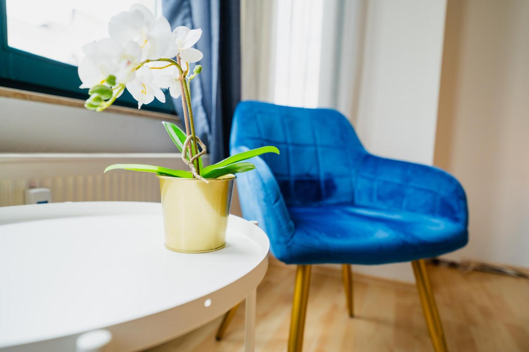 Blue Chili 05 - Charmante 2-zimmer Albauwohnung - 5 Pax - Wifi-netflix * Magdeburg