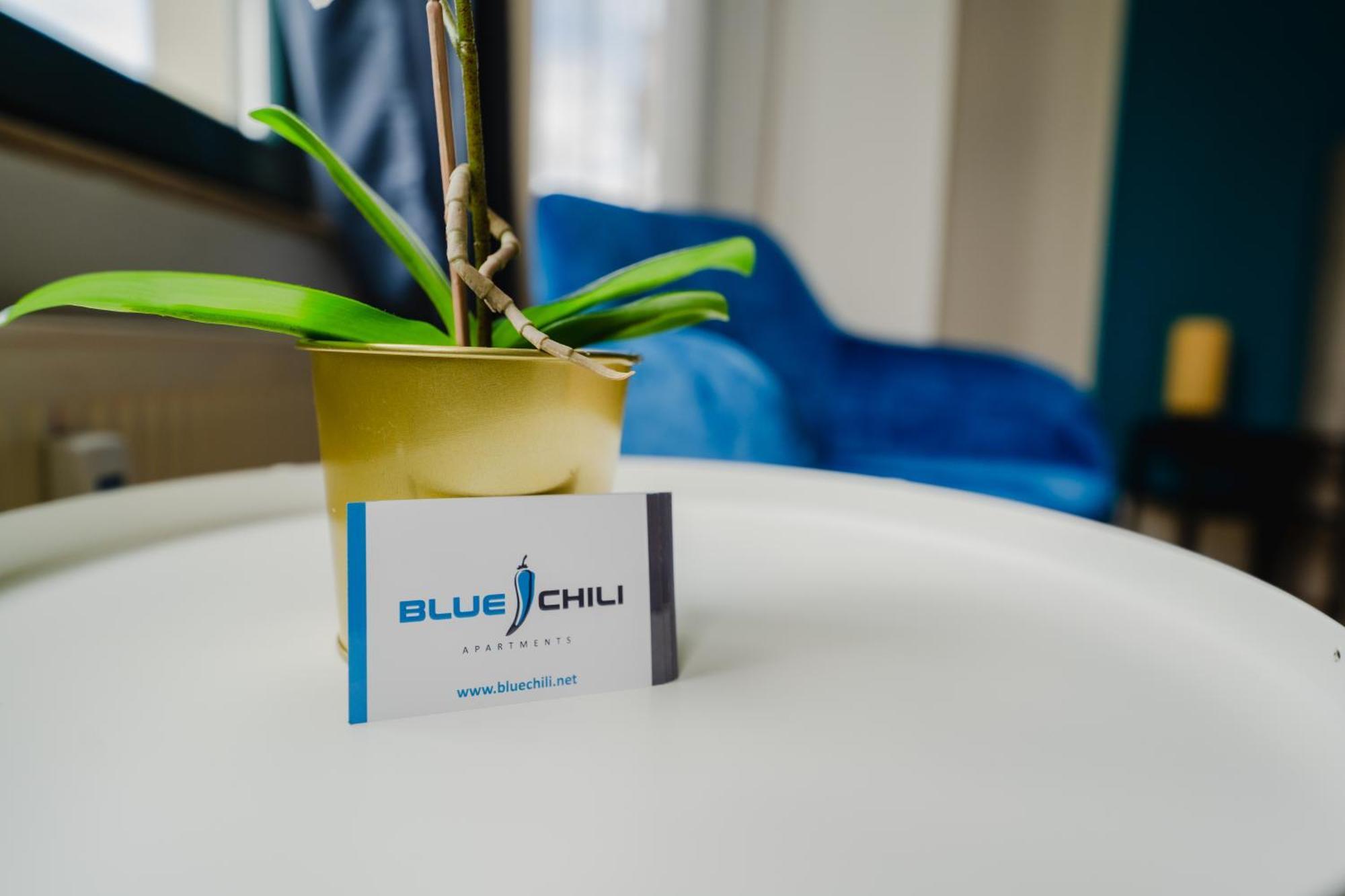 Blue Chili 05 - Charmante 2-zimmer Albauwohnung - 5 Pax - Wifi-netflix * Magdeburg