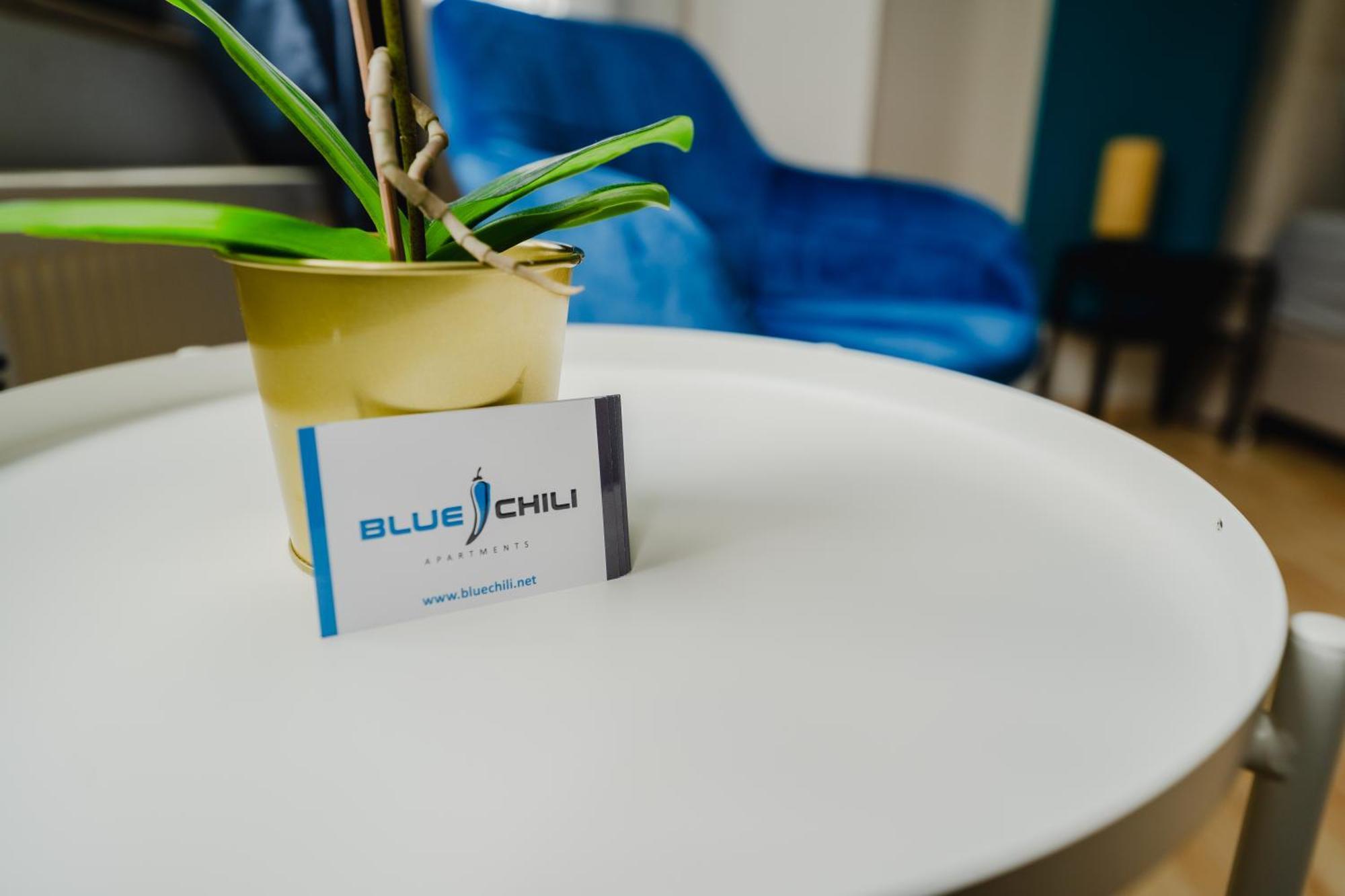 Blue Chili 05 - Charmante 2-zimmer Albauwohnung - 5 Pax - Wifi-netflix Magdeburgo