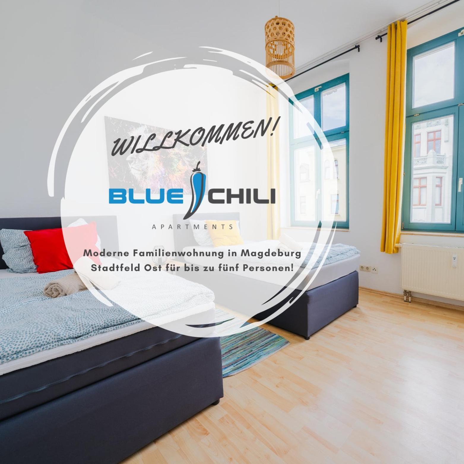 Blue Chili 05 - Charmante 2-zimmer Albauwohnung - 5 Pax - Wifi-netflix Apartment Magdeburg